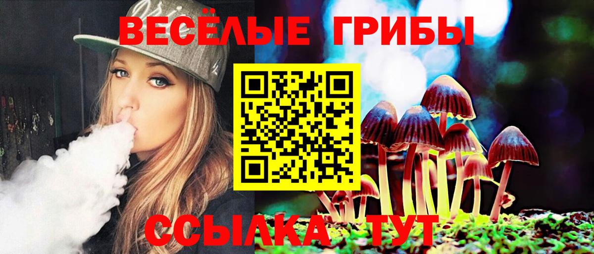 Псилоцибиновые грибы мицелий  Галлюциногенные грибы Cubensis  Вход с VPN  Качканар 