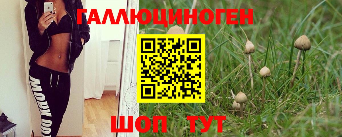 Галлюциногенные грибы Psilocybine cubensis Качканар